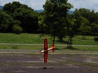 ����͑�ςȎp������